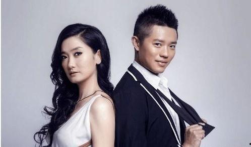 娱乐圈中知音的故事