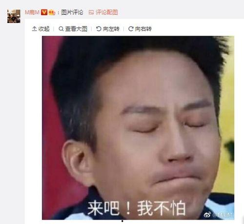 父子表情包反击,反击表情包战局！