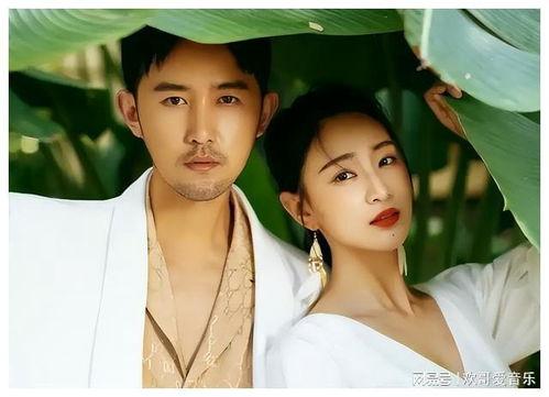 郎才女貌演员表,演绎一段才子佳人传奇的爱情故事