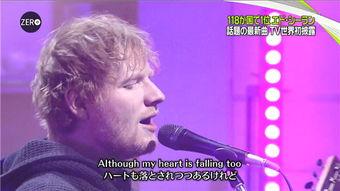 特别权利个人资料,隐私保护与信息安全的双重挑战